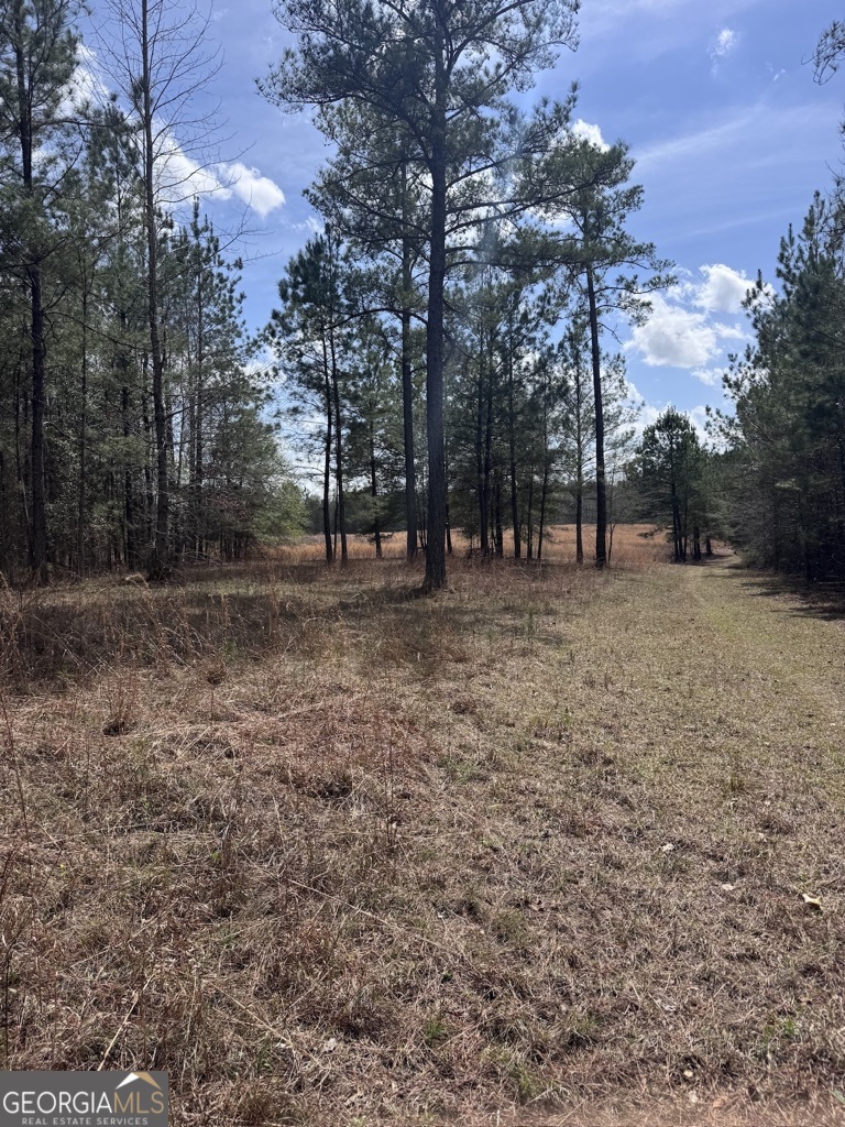 0 Minor Thomaston, GA 30286 - Photo 20 of 32