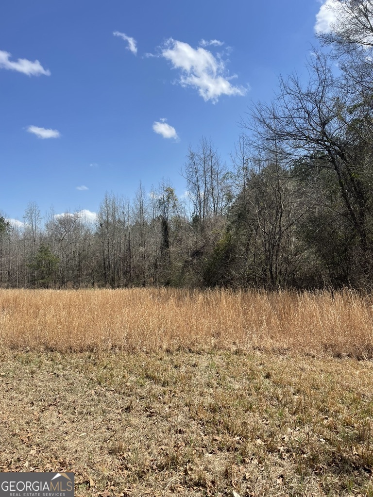 0 Minor Thomaston, GA 30286 - Photo 2 of 32