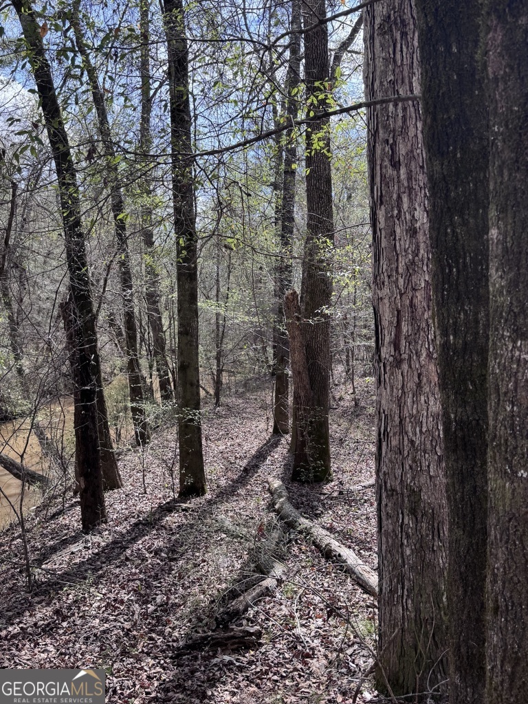 0 Minor Thomaston, GA 30286 - Photo 21 of 32