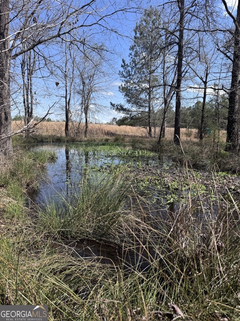 0 Minor Thomaston, GA 30286 - Photo 22 of 32