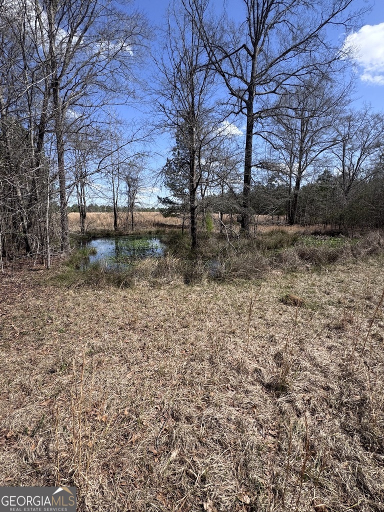 0 Minor Thomaston, GA 30286 - Photo 24 of 32