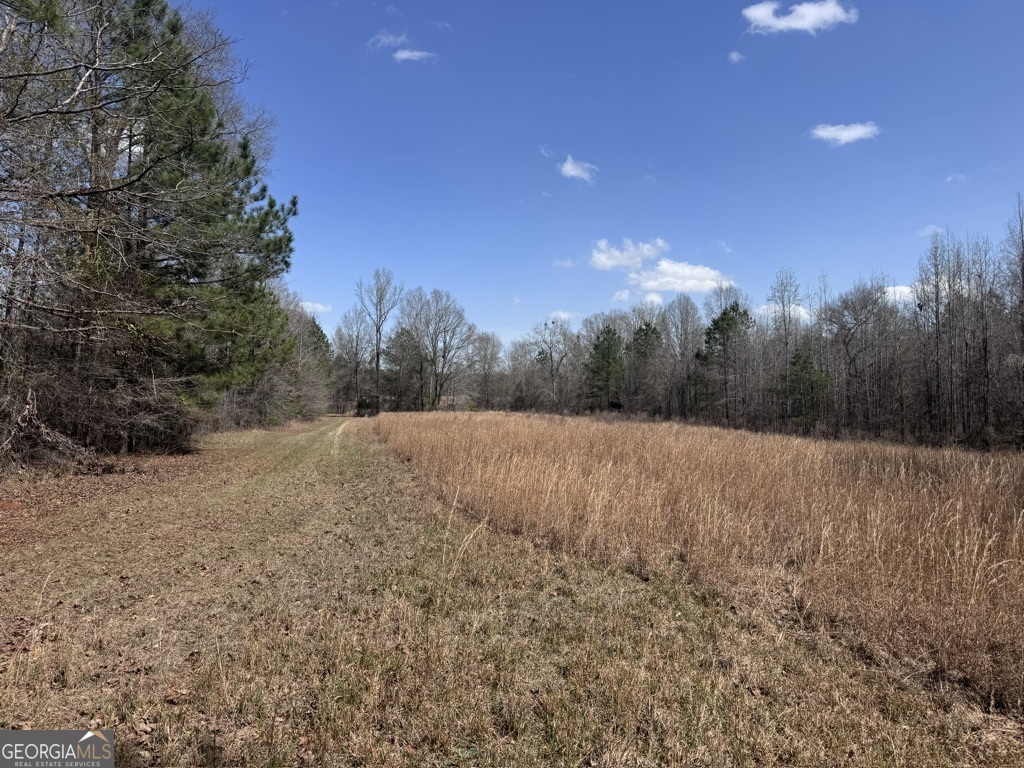 0 Minor Thomaston, GA 30286 - Photo 25 of 32