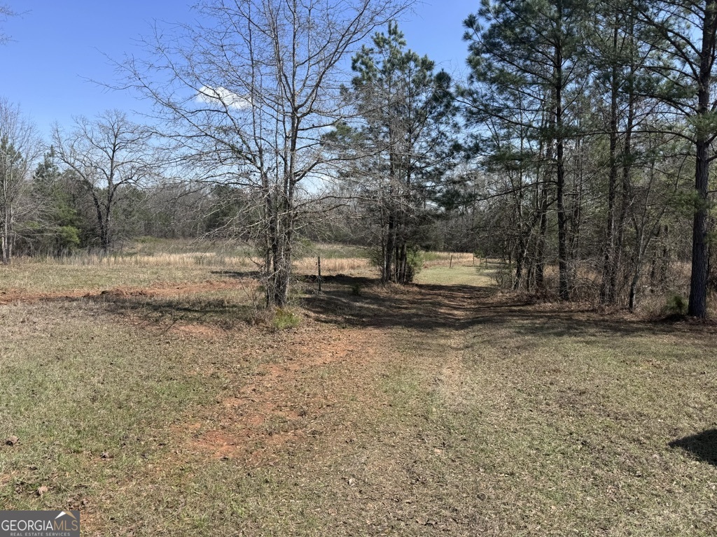 0 Minor Thomaston, GA 30286 - Photo 26 of 32