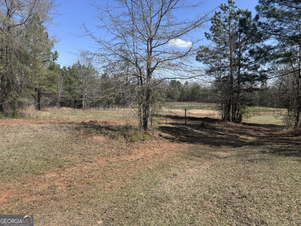 0 Minor Thomaston, GA 30286 - Photo 27 of 32