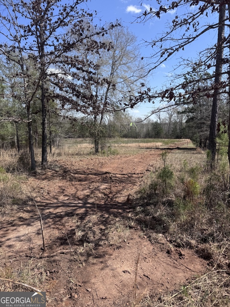 0 Minor Thomaston, GA 30286 - Photo 28 of 32