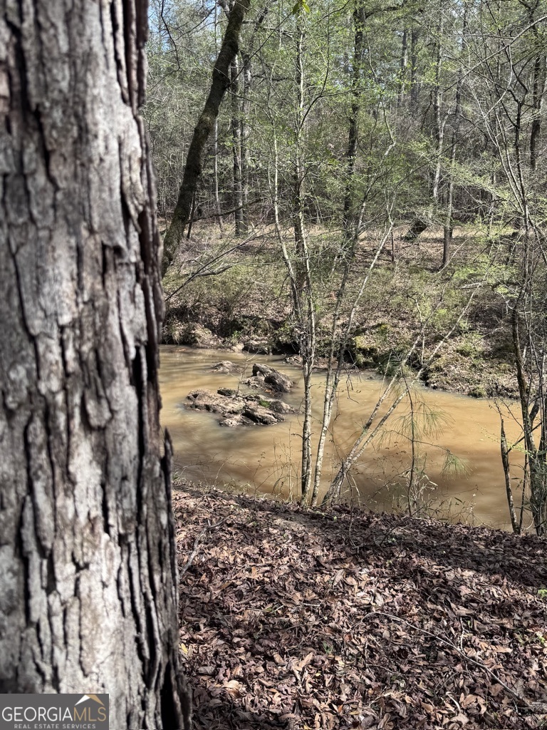 0 Minor Thomaston, GA 30286 - Photo 29 of 32