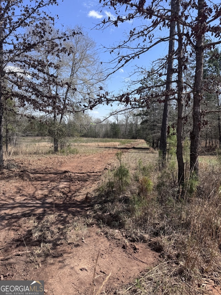 0 Minor Thomaston, GA 30286 - Photo 30 of 32