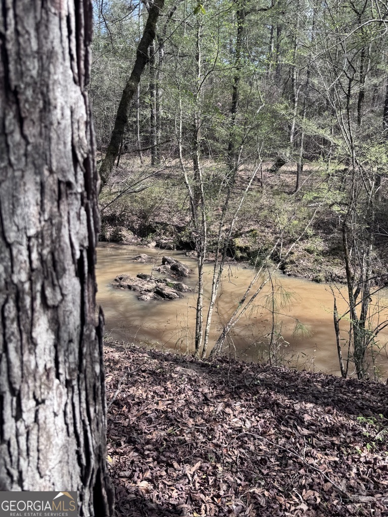 0 Minor Thomaston, GA 30286 - Photo 31 of 32