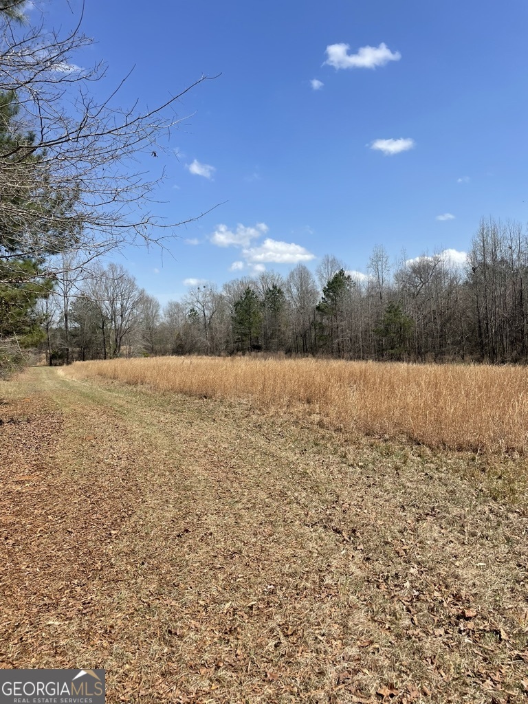 0 Minor Thomaston, GA 30286 - Photo 5 of 32