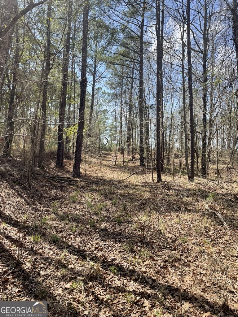 0 Minor Thomaston, GA 30286 - Photo 6 of 32