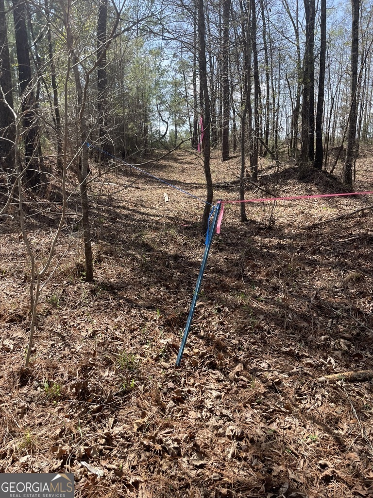 0 Minor Thomaston, GA 30286 - Photo 7 of 32