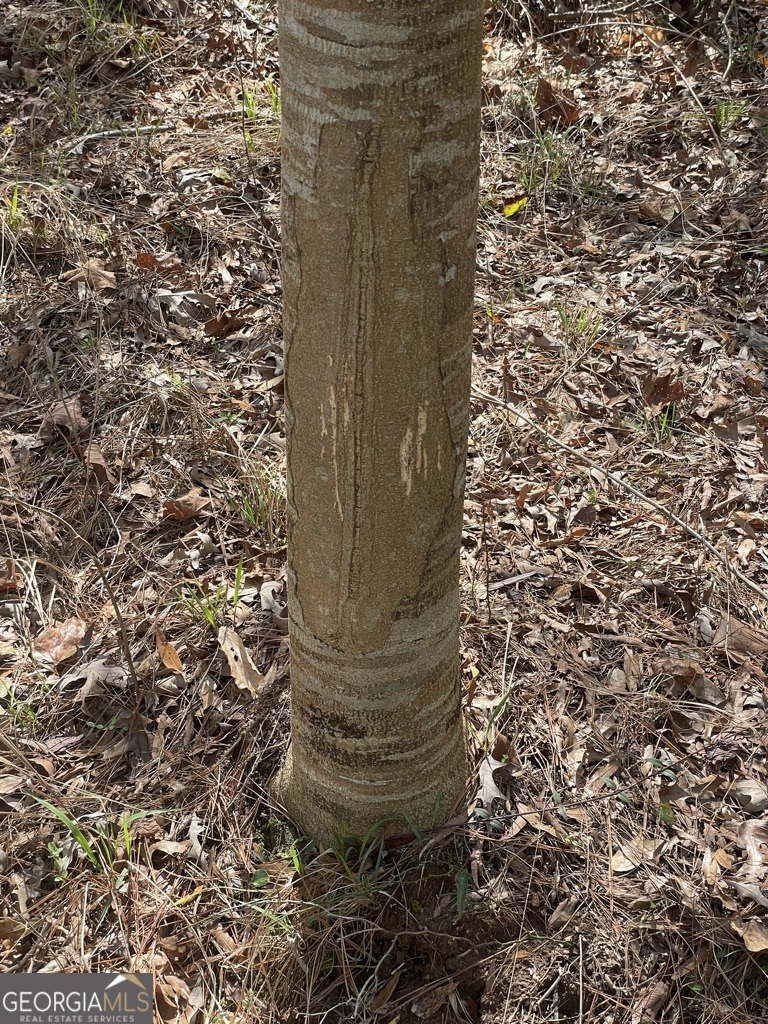 0 Minor Thomaston, GA 30286 - Photo 9 of 32