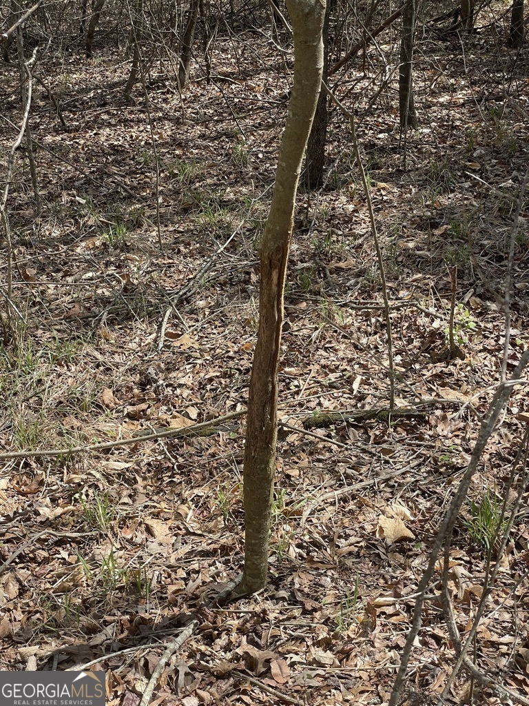 0 Minor Thomaston, GA 30286 - Photo 10 of 32