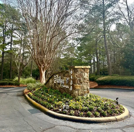 a view of a garden with plants