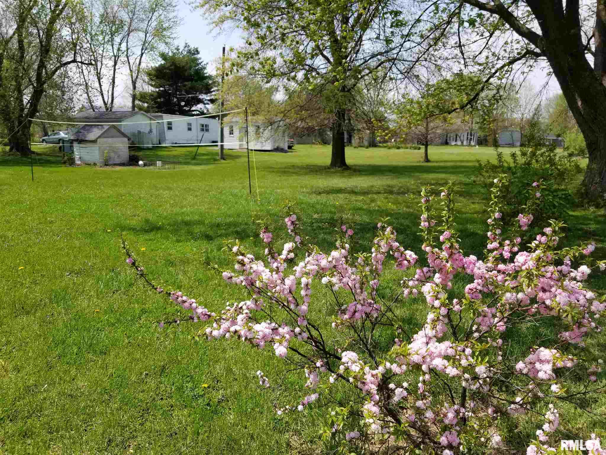1885 Ripley Street Nauvoo, IL 62354 - Photo 4 of 11 Gallery Image 4