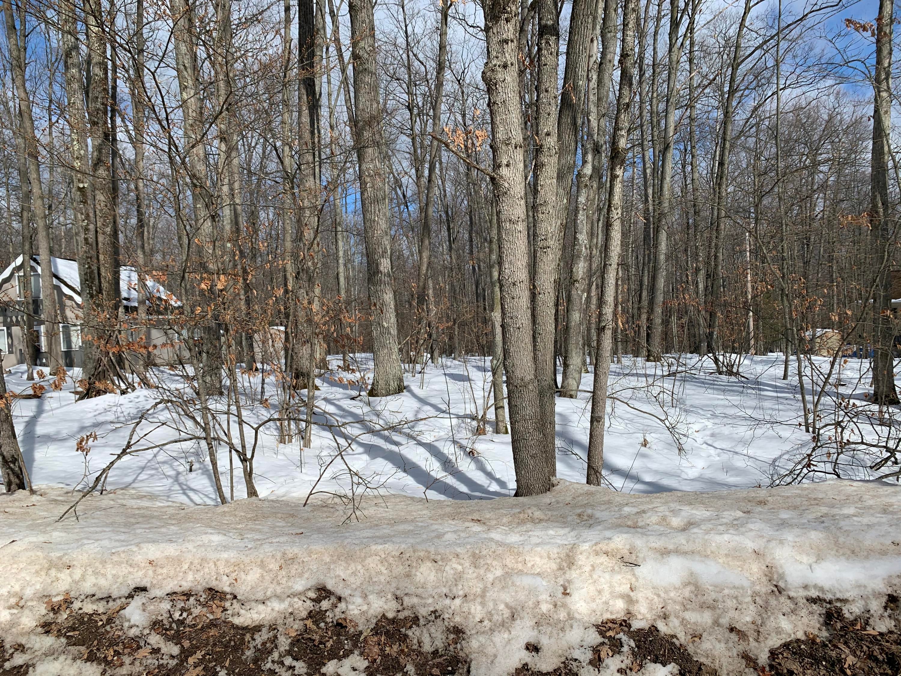 Xxx Xxx Muskegon Road Roscommon, MI 48653 - Photo 4 of 4 Gallery Image 4