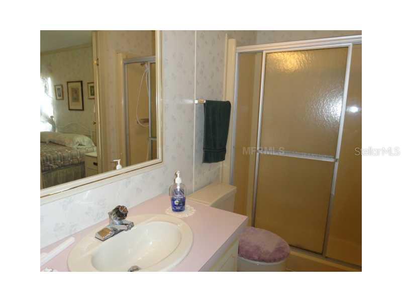 1114 Rue De Dore Tavares, FL 32778 - Photo 12 of 14 Master Bath