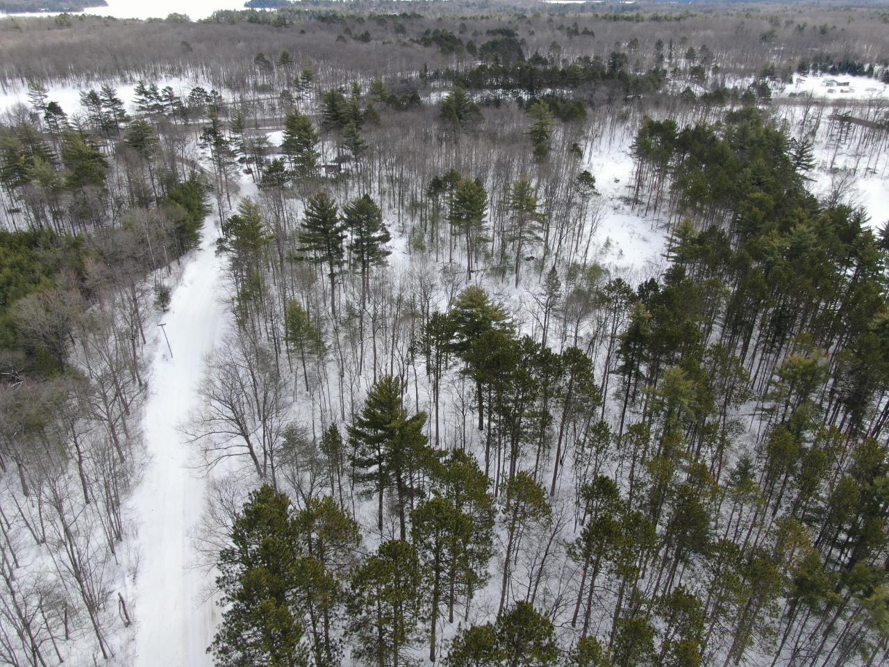 0 Bolger Lake Road Minocqua, WI 54548 - Photo 4 of 21 Gallery Image 4