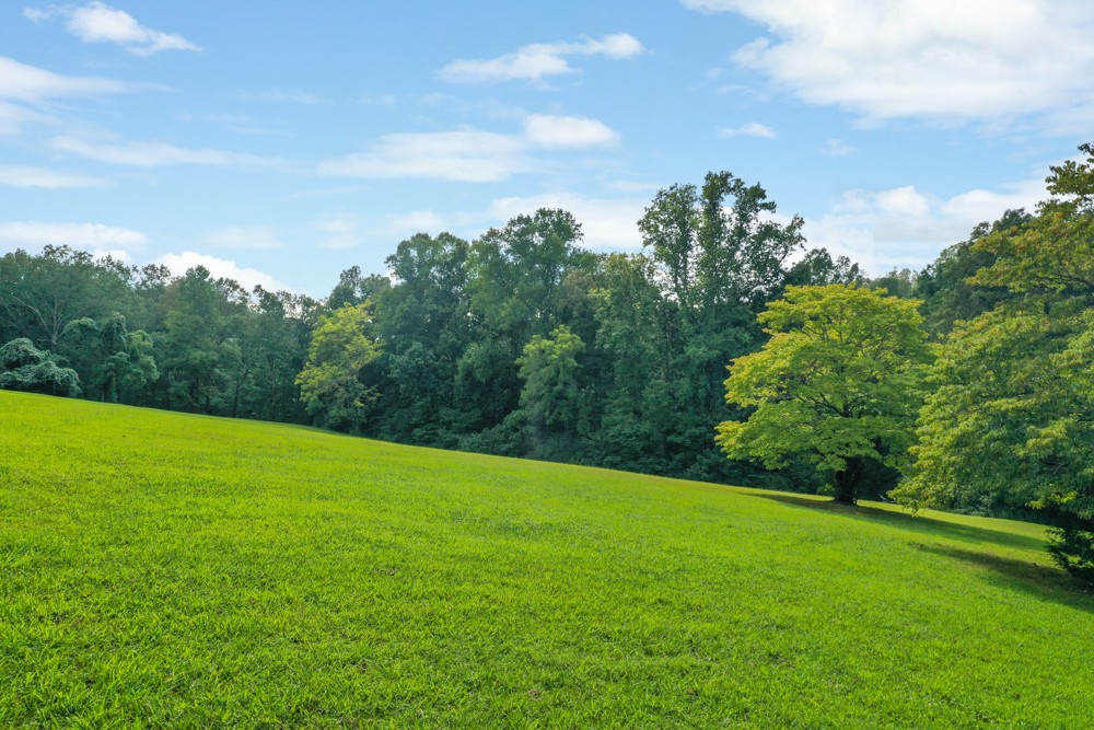 7826 Grover Vaughn Road Lyles, TN 37098 - Photo 6 of 40 Gallery Image 6