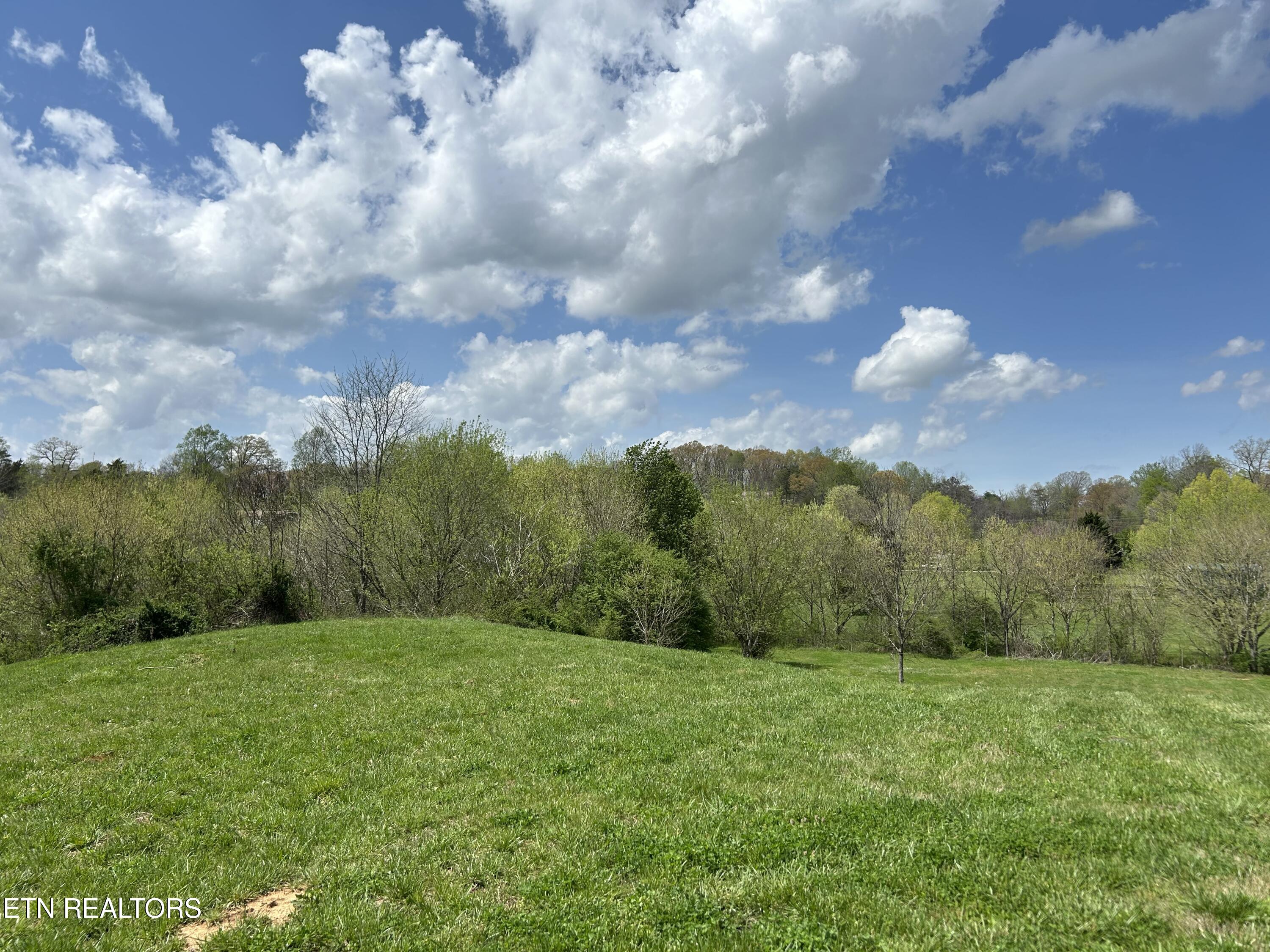 1302 Blockhouse Road Maryville, TN 37803 - Photo 13 of 30 IMG_3496