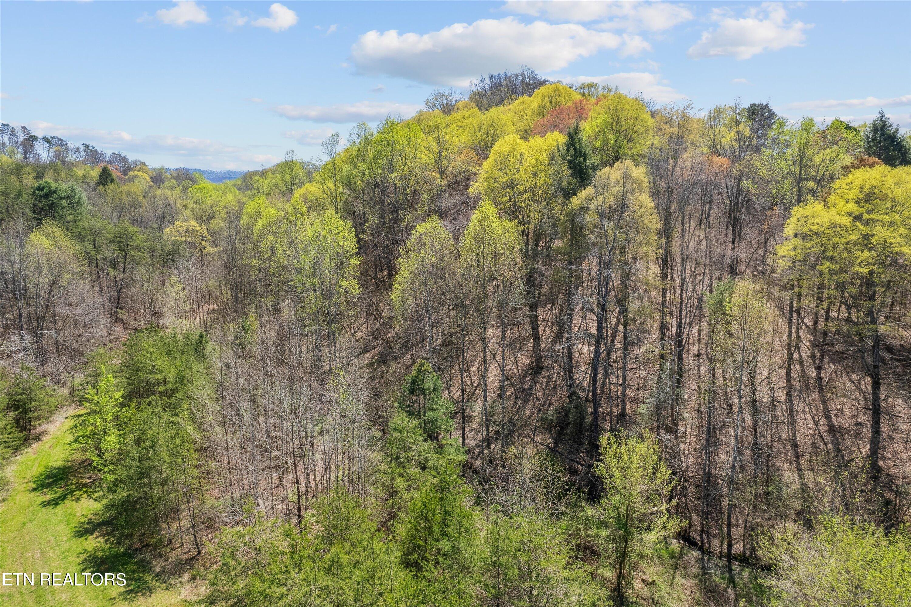 1302 Blockhouse Road Maryville, TN 37803 - Photo 17 of 30 12-DJI_0109