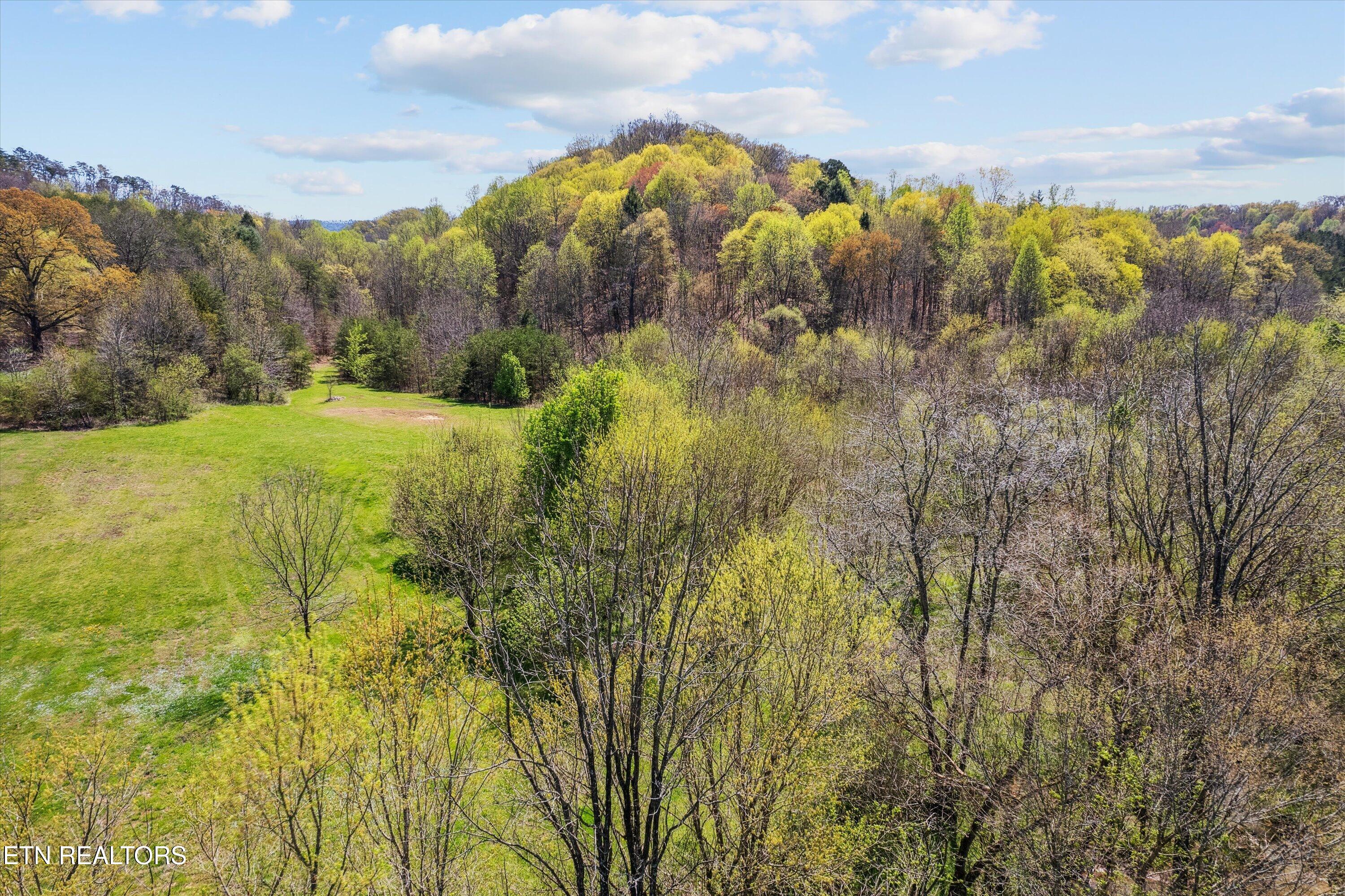 1302 Blockhouse Road Maryville, TN 37803 - Photo 18 of 30 17-DJI_0145