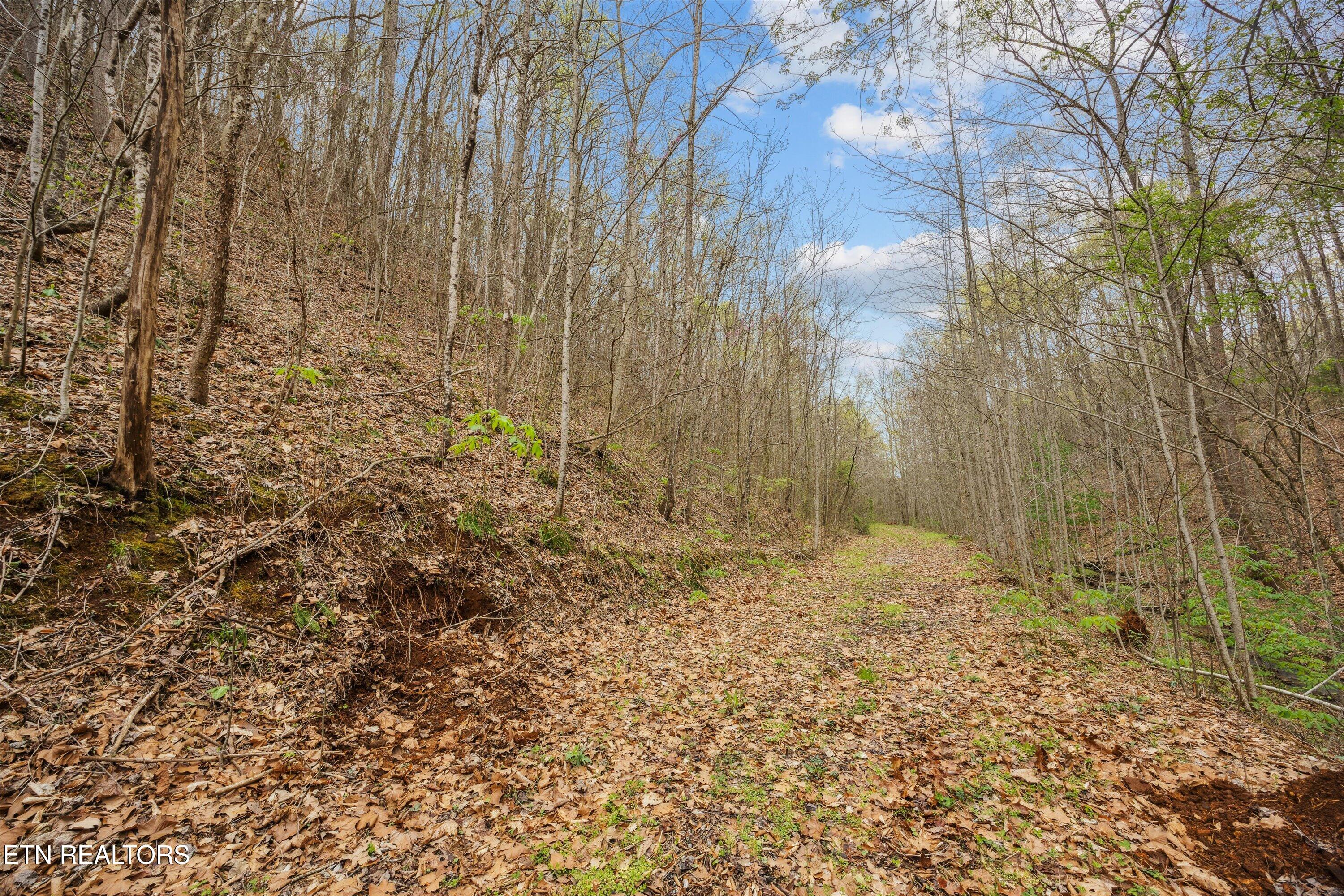 1302 Blockhouse Road Maryville, TN 37803 - Photo 21 of 30 22-RS9_4374