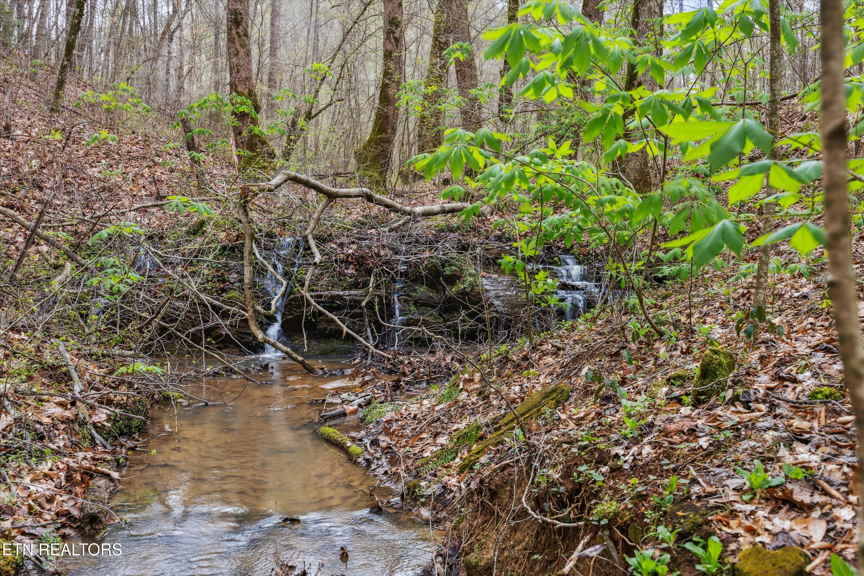 1302 Blockhouse Road Maryville, TN 37803 - Photo 22 of 30 21-RS9_4371