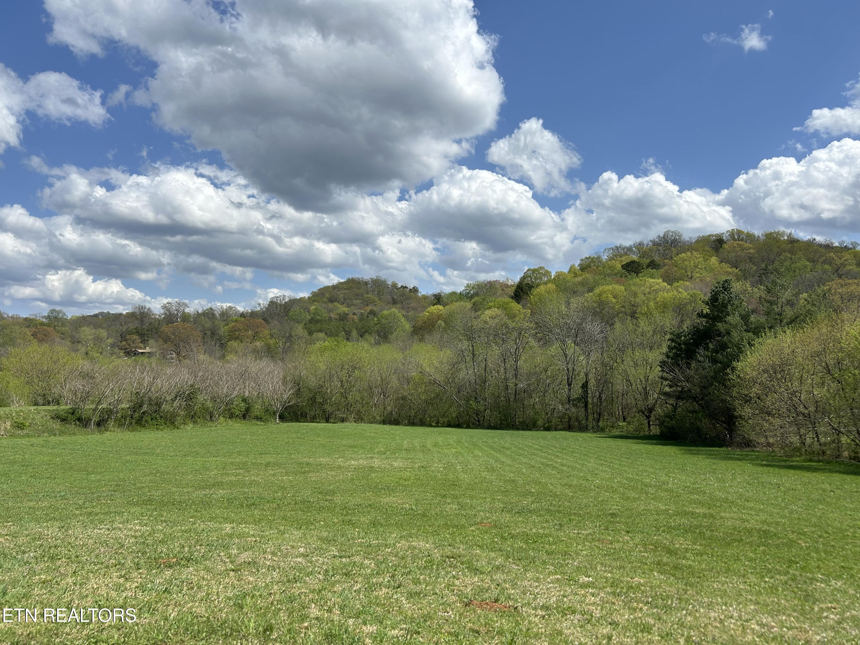 1302 Blockhouse Road Maryville, TN 37803 - Photo 7 of 30 IMG_3513