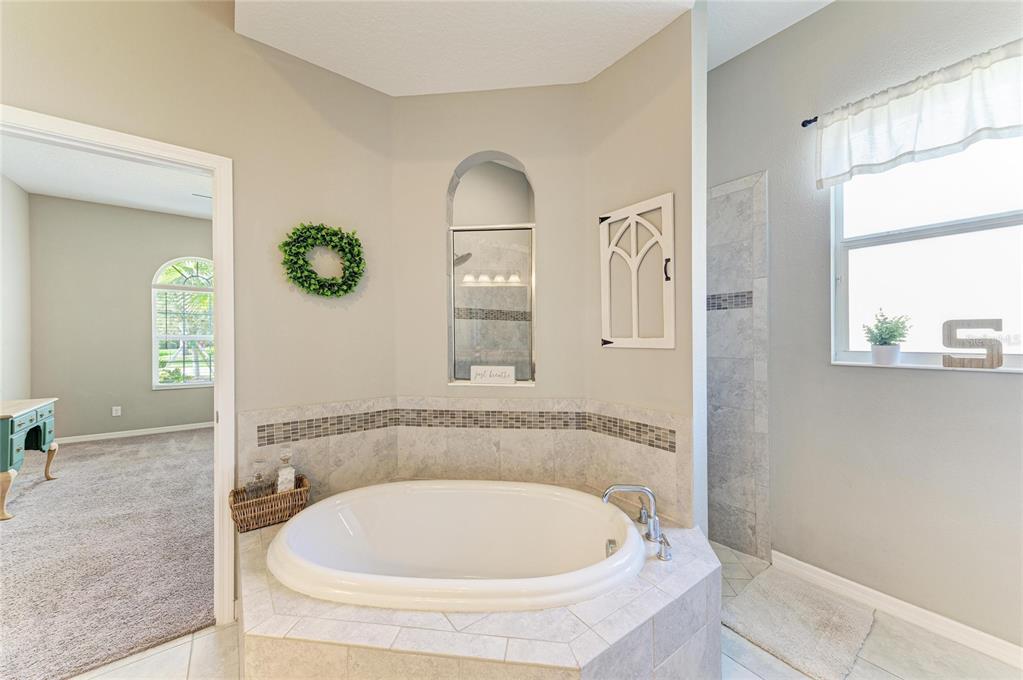 16336 26th Street East Parrish, FL 34219 - Photo 35 of 69 a bathroom with a tub and a window
