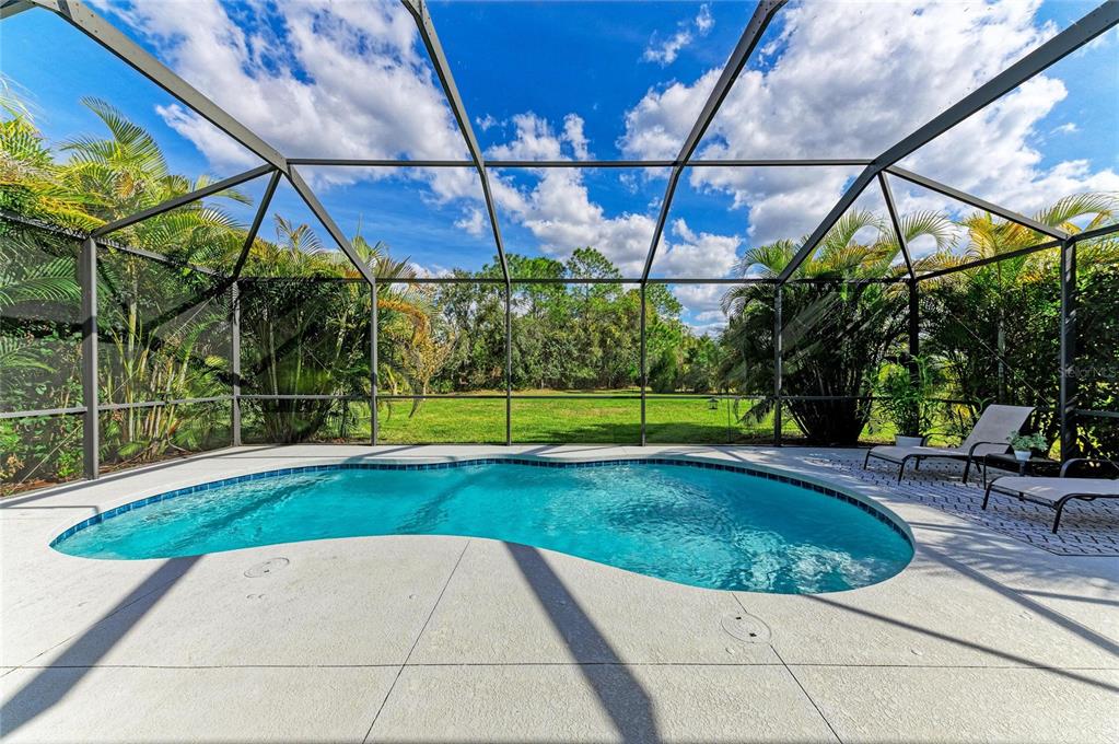 16336 26th Street East Parrish, FL 34219 - Photo 55 of 69 a view of yard with swimming pool