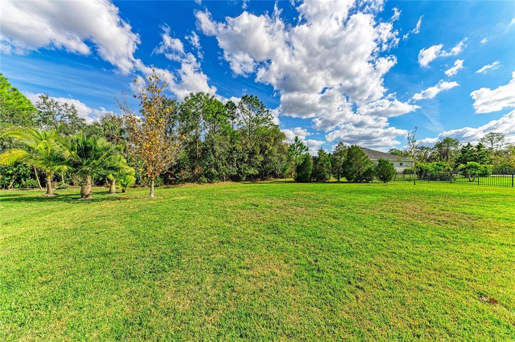 16336 26th Street East Parrish, FL 34219 - Photo 57 of 69 a view of yard with green space