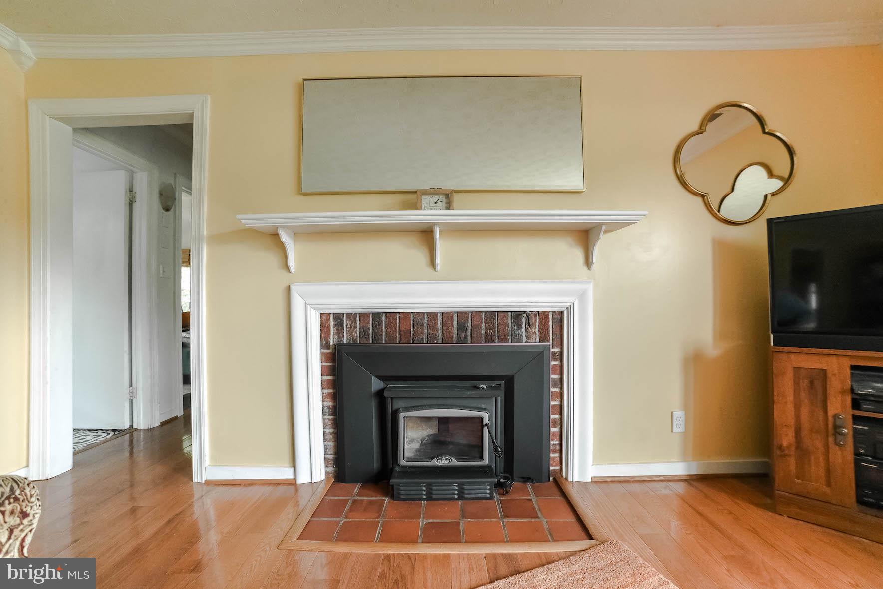 18315 Point Lookout Road Park Hall, MD 20667 - Photo 25 of 61 Wood burning