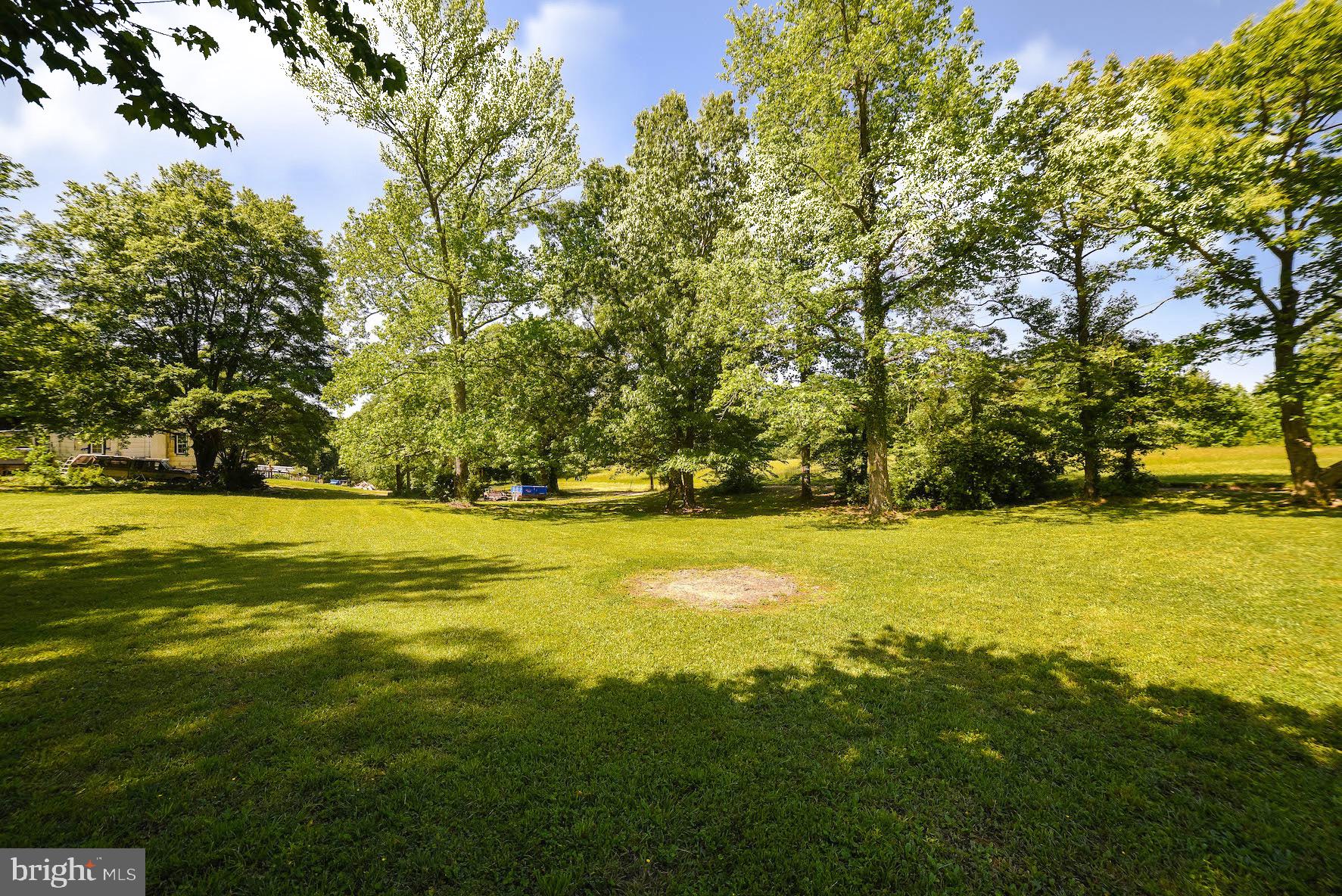 18315 Point Lookout Road Park Hall, MD 20667 - Photo 53 of 61 Open space to spread out