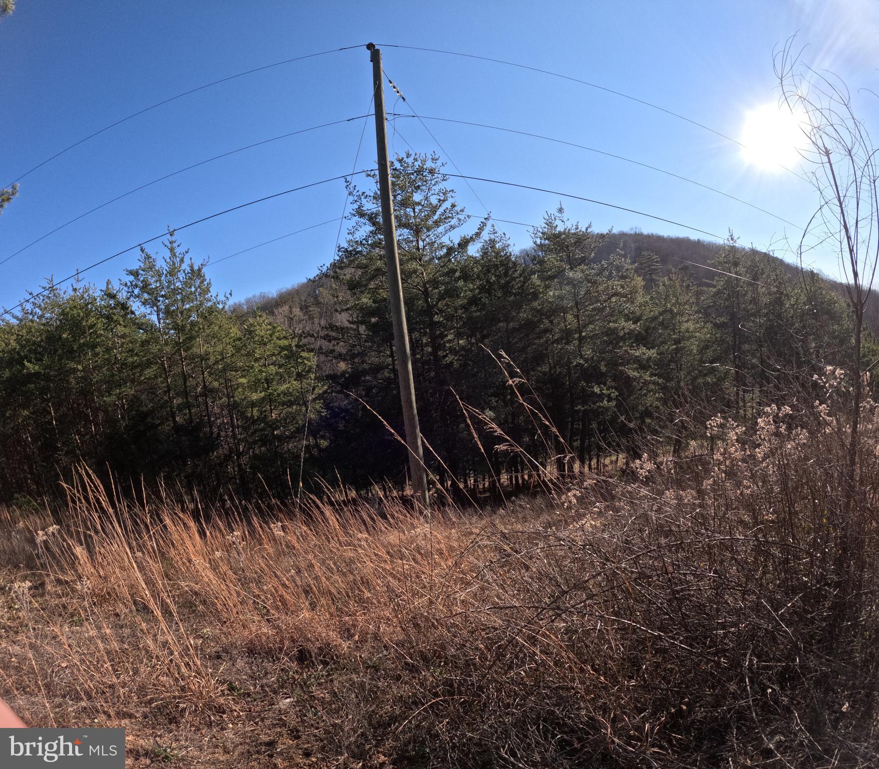 0 Mendota Road Mendota, VA 24270 - Photo 11 of 12