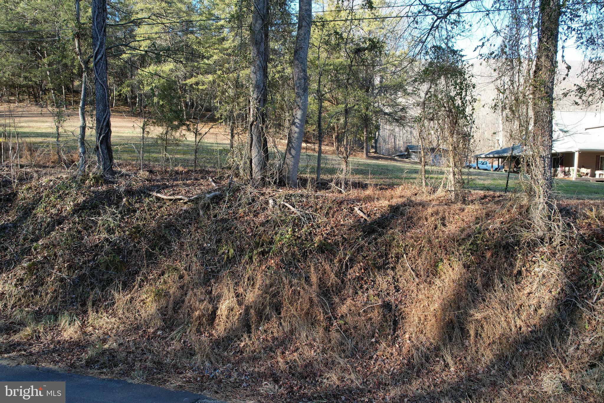 0 Mendota Road Mendota, VA 24270 - Photo 12 of 12