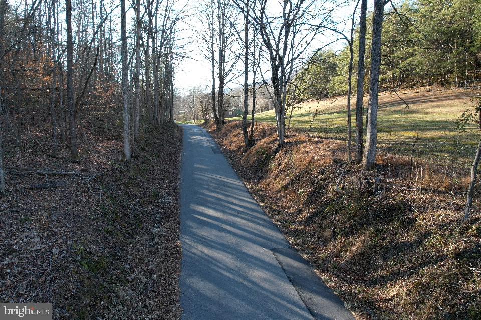 0 Mendota Road Mendota, VA 24270 - Photo 7 of 12