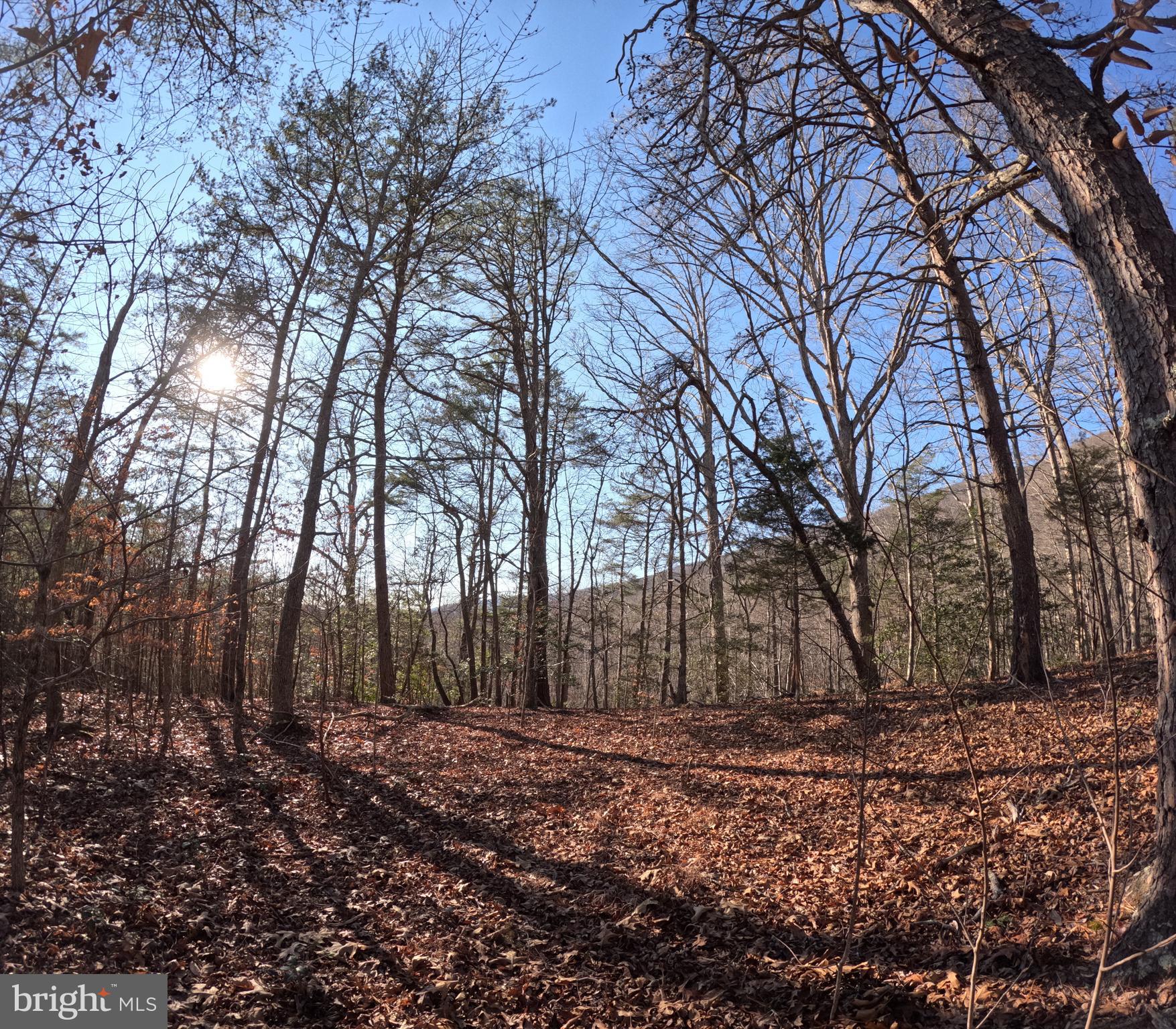 0 Mendota Road Mendota, VA 24270 - Photo 8 of 12