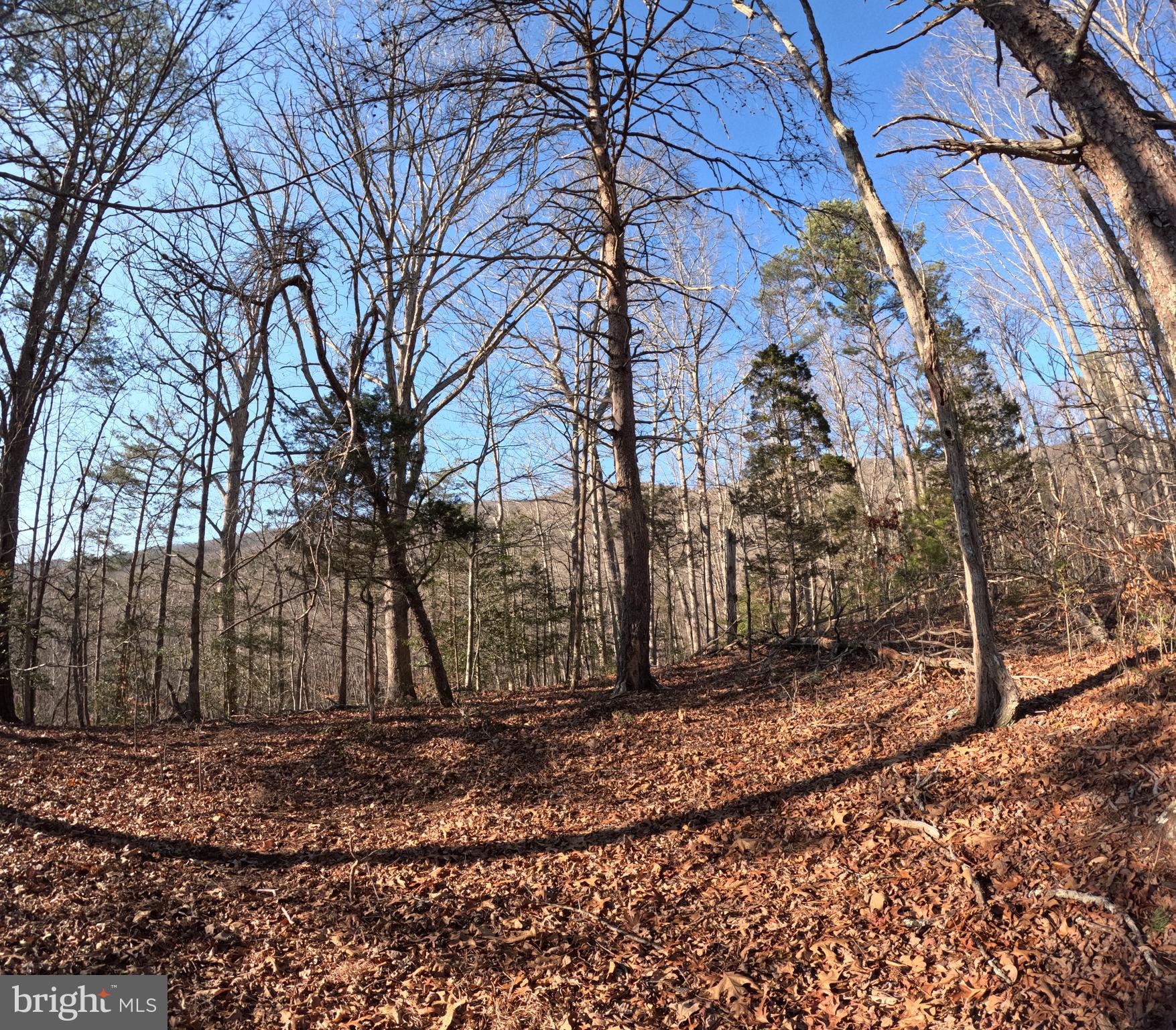 0 Mendota Road Mendota, VA 24270 - Photo 9 of 12