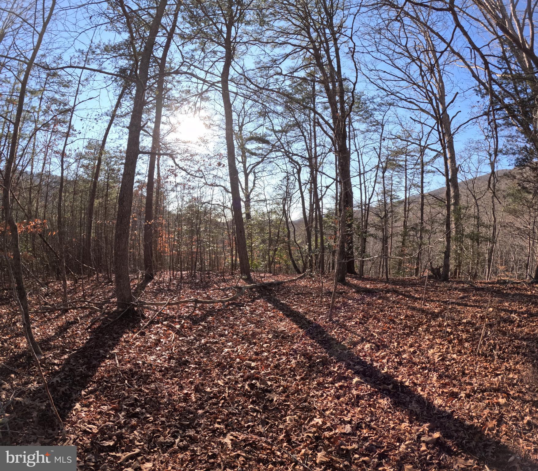 0 Mendota Road Mendota, VA 24270 - Photo 10 of 12