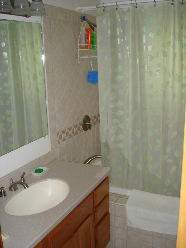 231 Poplar Drive Blue Ridge, VA 24064 - Photo 3 of 6 a bathroom with a sink a toilet and shower