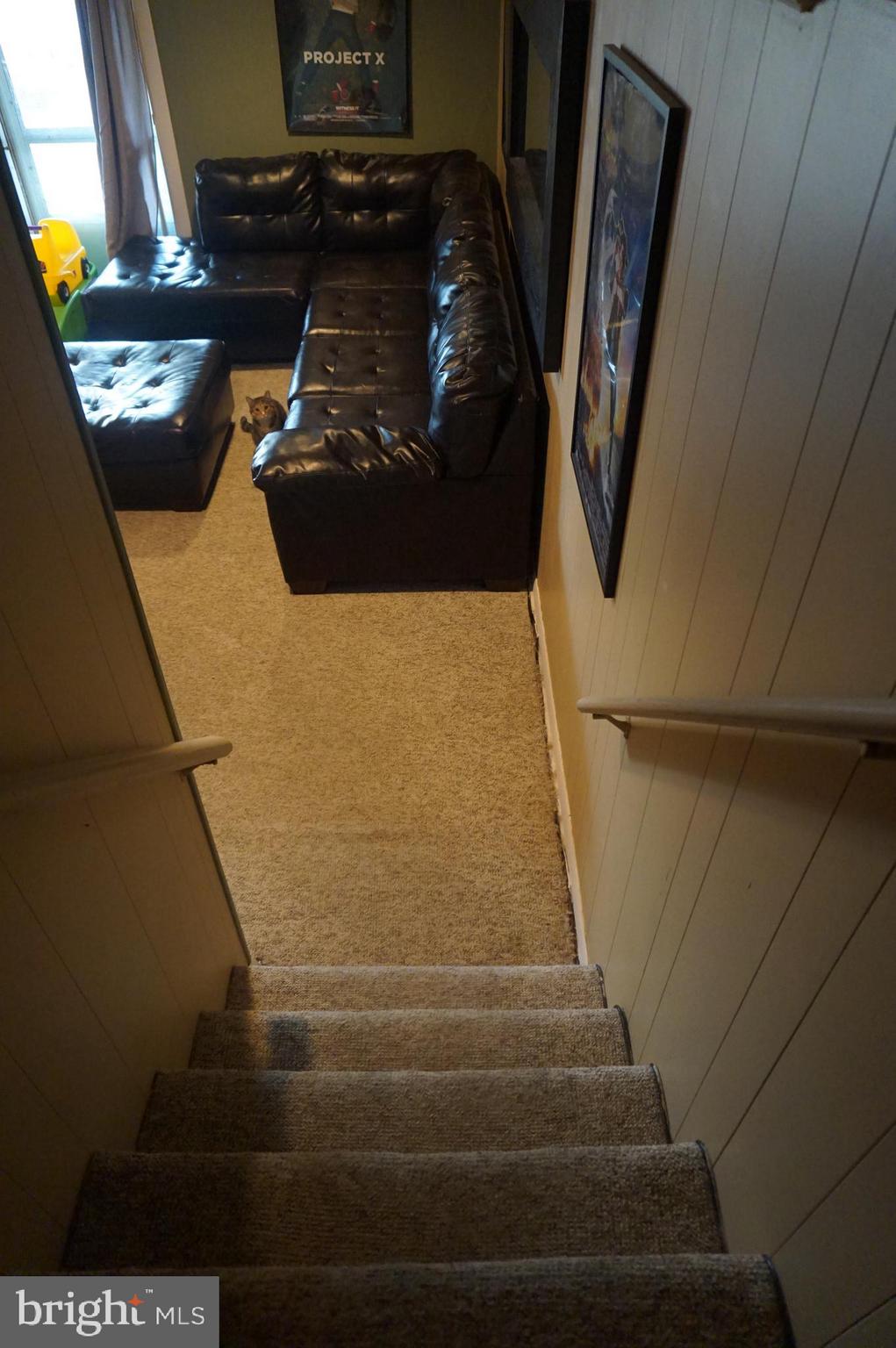 3852 Fairdale Road Philadelphia, PA 19154 - Photo 16 of 25 Finished Basement