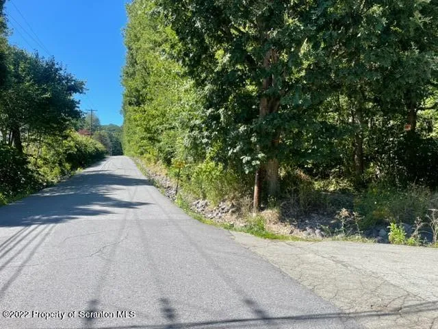 a view of a yard with plants and trees