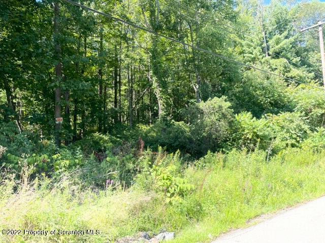 Crisp Avenue Scranton, PA 18504 - Photo 2 of 5 a view of a garden