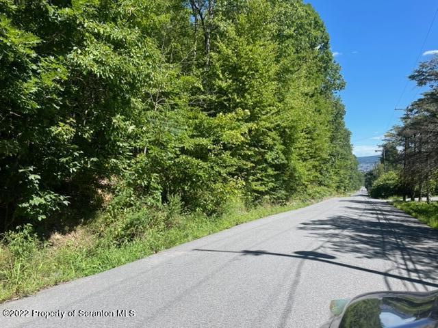 Crisp Avenue Scranton, PA 18504 - Photo 4 of 5 a view of a yard