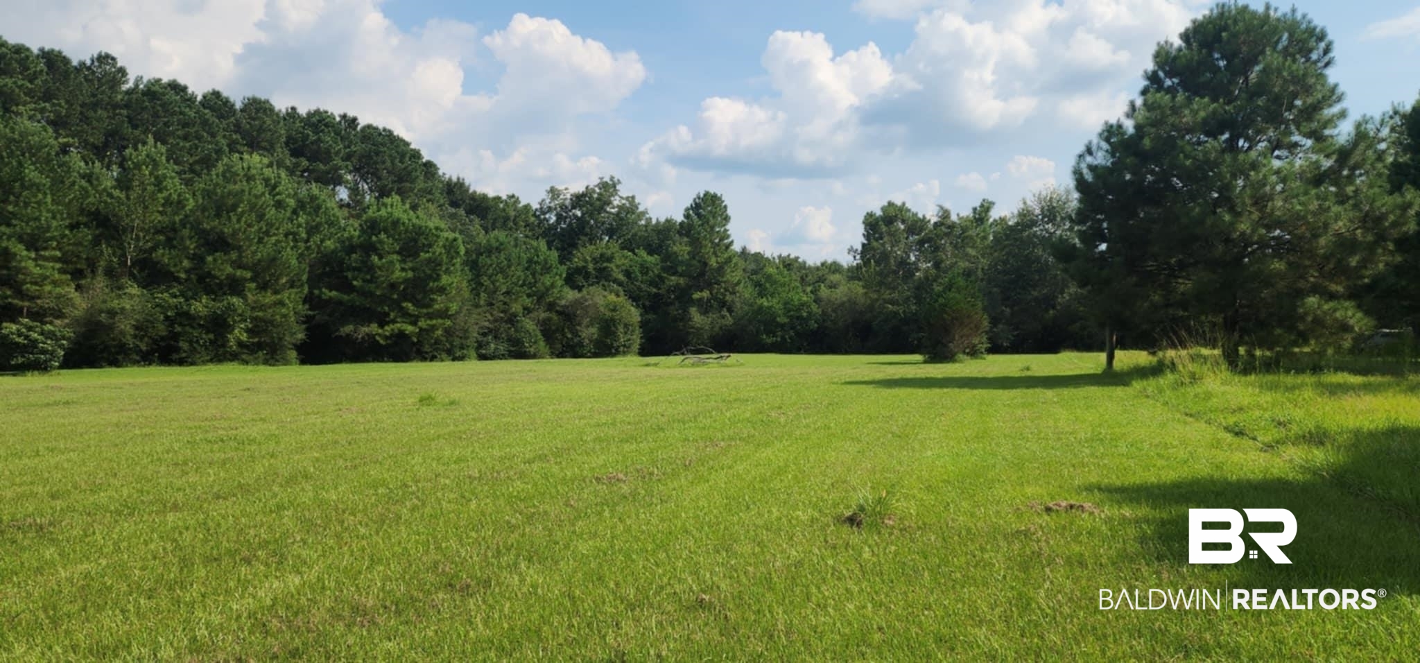 29049 Loper Road Loxley, AL 36551 - Photo 12 of 23 View of grassy yard with a view of countryside and a forest view
