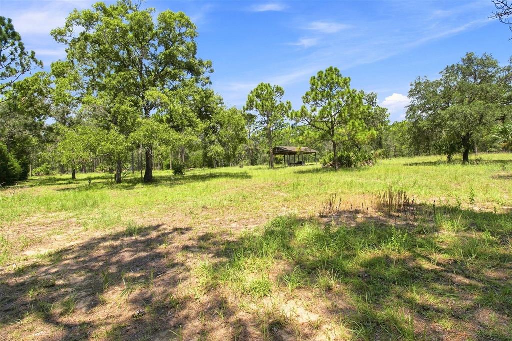 8279 Sunshine Grove Road Brooksville, FL 34613 - Photo 6 of 76 Gallery Image 6
