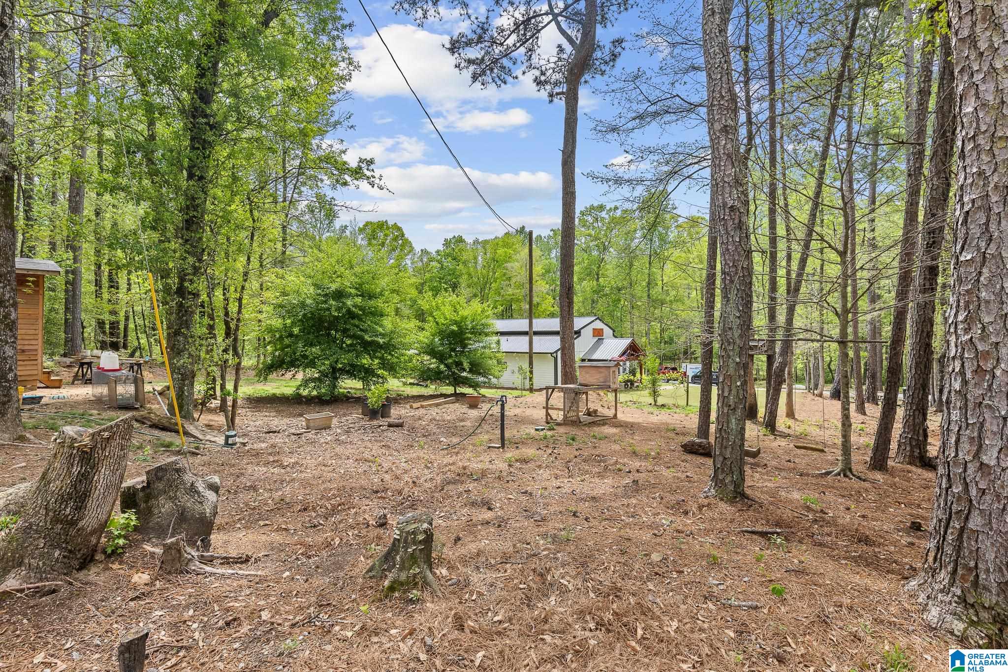 10936 Bear Creek Road Sterrett, AL 35147 - Photo 52 of 58