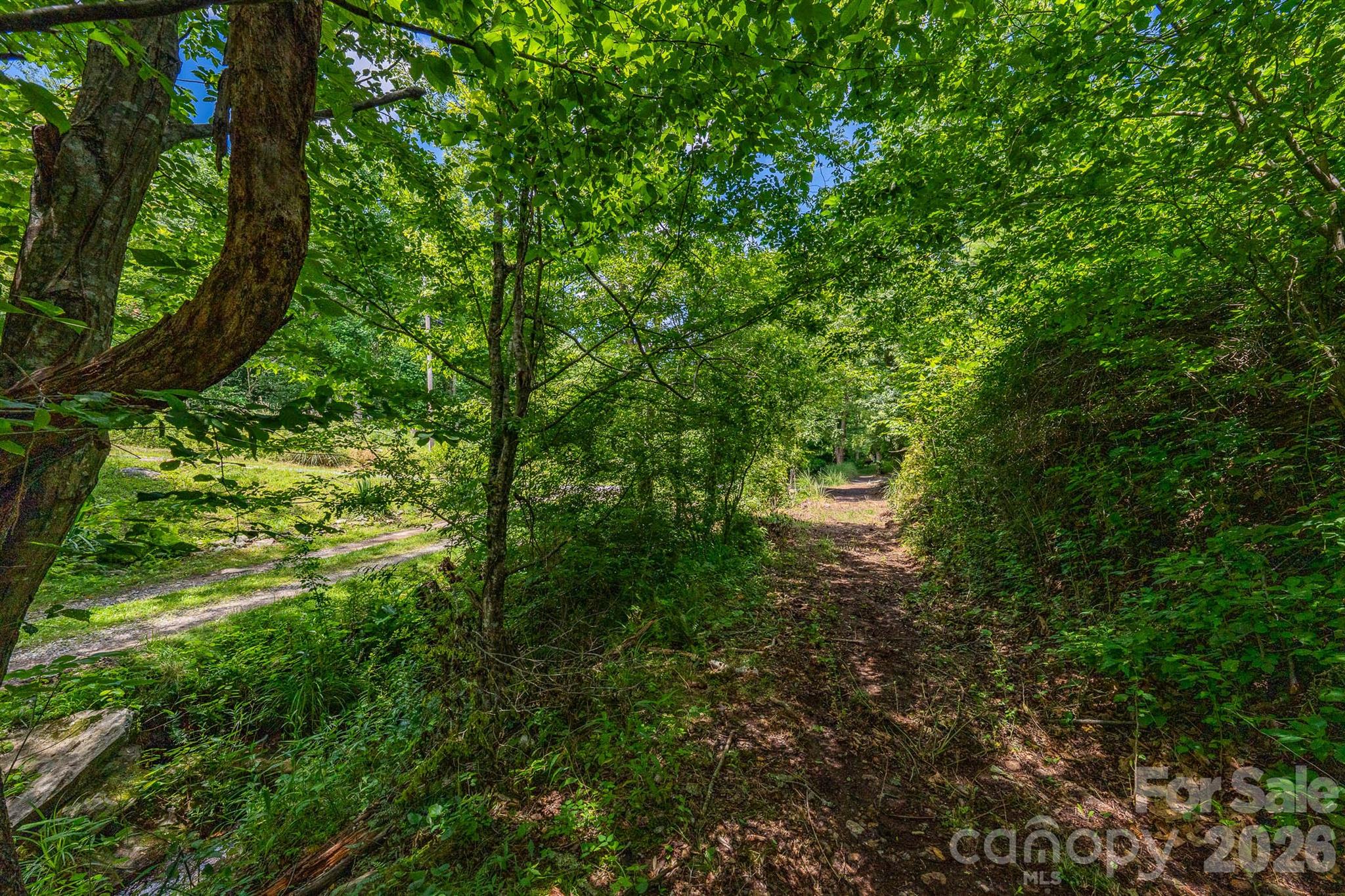 789 Jarrett Cove Road Marshall, NC 28753 - Photo 14 of 41
