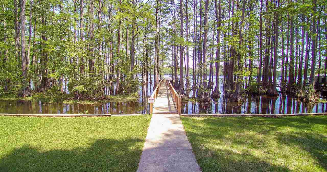 426 Skinner Road Four Oaks, NC 27524 - Photo 5 of 25 Photo 5